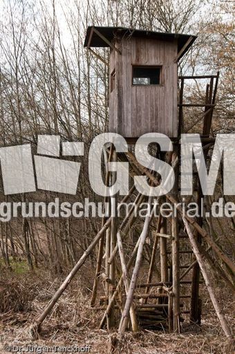 Hochstände (123 von 154).jpg